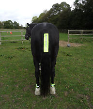 FLUORESCENT HI VIZ HORSE TAIL STRAP - YELLOW OR PINK - TAIL BANDAGE CLIP