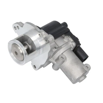 AGR Ventil DELPHI EG10622-12B1 - Bild 1 von 3