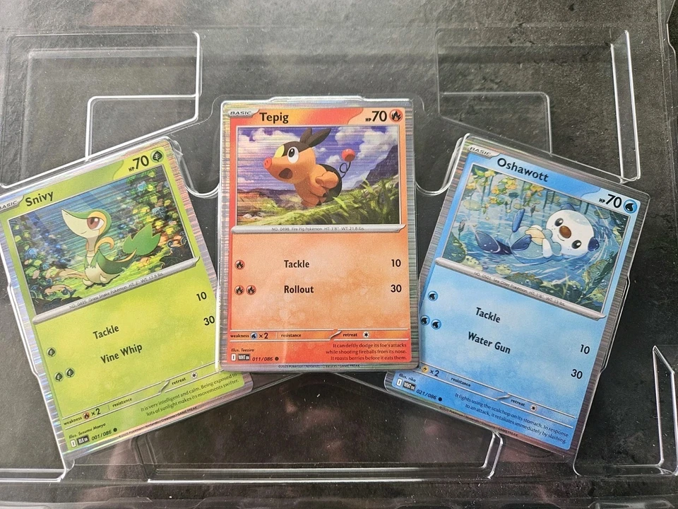 Pokémon Schwarze Blitze u. Weiße Flamme Poster Kollektion Promo Set Englisch  - Bild 1 von 1