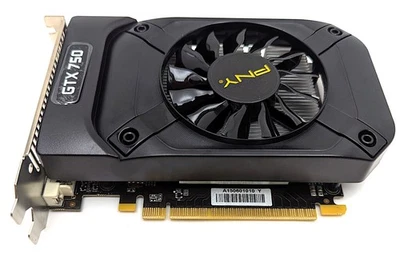 PNY NVIDIA GeForce GTX 750 1GB GDDR5 PCI-E 3.0 x16 Graphics Card (VCGGTX7501XPB) - Image 1 of 4