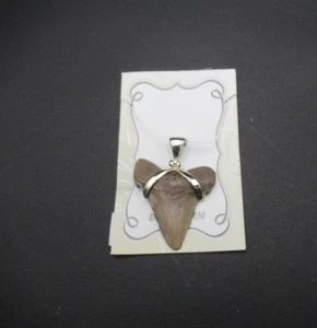 Starborn Creations Pendant Sterling Silver Fossil Shark Beige Tooth SM/M NWT - Picture 1 of 6