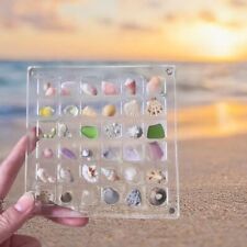 Acrylic Seashell Storage Box Mini Small Craft Organizers Compartment
