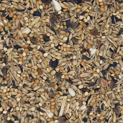 Mühle Gladen Neophemenfutter 2,5kg