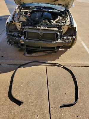 BMW 528i 550i 535i f10 2011-2016 bahía de motor moldura tira climática sello de goma OEM Foto 1 de 4