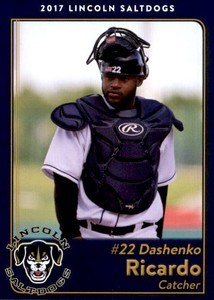 2017 Lincoln Saltdogs Team Issue #23 Dashenko Ricardo Willemstad Curacao Card