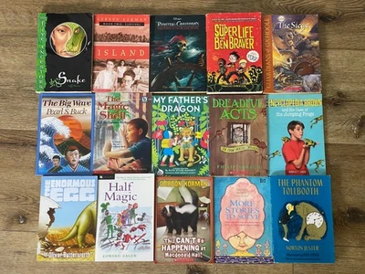 BOYS  Chapter Books Lot of 15 ~ 8-12 Years Old - Classroom Library Homeschool - Image 1 of 4