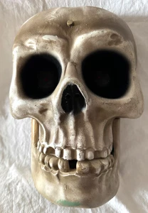 GEMMY ANIMATED SKELETON / SKULL HEAD GREETER - 12" - SINGS " BAD TO THE BONE" - Picture 1 of 22