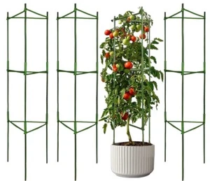 4 Pack Tomato Cage Plant Support Assembled -48inch Vegetable TrellisAssembled... - Picture 1 of 8