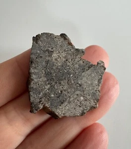 Meteorit Achondrit Eukrit NWA 13064 Scheibe 11,1g - Bild 1 von 3