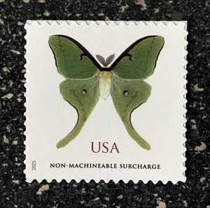 2025USA Non Machineable Rate Luna Moth Butterfly - Single Stamp Mint NH - Picture 1 of 1