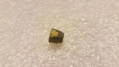 Gibson Les Paul Junior 1956 tuerca de varilla de armadura Estados Unidos Foto 1 de 4