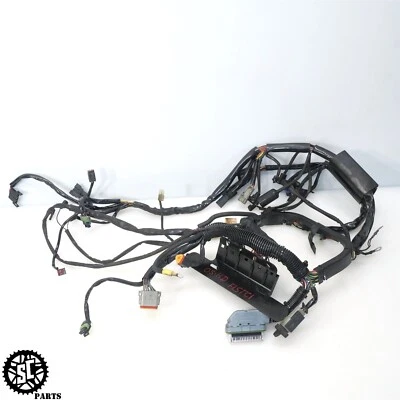 Harley Davidson Softail 2005 arnés de cableado principal HD39 Foto 1 de 4