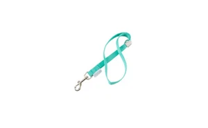 Groomer Essentials 17" bucles de aseo - turquesa - Imagen 1 de 12
