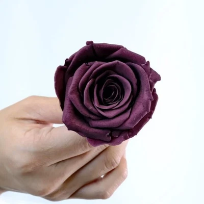 Flor Seca Conserva Rosa Color Borgoña Hogar Jardín Boda Decoración Floral Foto 1 de 4