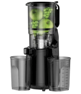 Cold Press Juicer Amumu Slow Masticating Machines BPA Free 250W JC-30 5.3" Feed - Picture 1 of 12