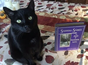 Stepping Stones Aids Aims Successful Life Haines Yaggy Presentation 1911 - Bild 1 von 12