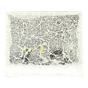 Vintage WEIRD Crackle Acrylic PLASTIC Kittens CATS Ornament Novelty - Picture 1 of 3