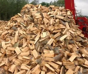 legna da ardere per stufa 30 centimetri QUERCIA E FAGGIO B&B BRACE - Imagen 1 de 2