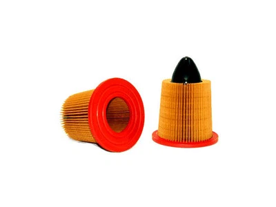 Filtro de aire para Ford Mustang 1994-2004 WIX 13955FDXS 2001 2002 1998 1995 1996 Foto 1 de 2