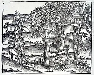 More details for 1502 arcadian scene, trumpet, incunable woodcut, virgil’s georgics, agriculture