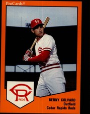 B3128- 1989 Procards Minor League BB Cards Group1 - You Pick- 10 + Free US Ship