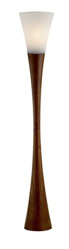 Adesso Home 3201 15 Contemporary Modern One Light Floor Lamp from Espresso Co...