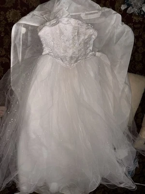 Strapless Ball gown Wedding Dress Size 2 David’s Bridal - Image 1 of 4