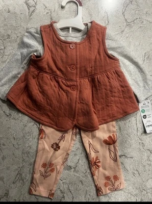 Nuevo con etiquetas Juego de 3 piezas acolchado coral Carter's bebé/infante/niña pequeña talla 6 meses Foto 1 de 4