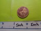 Leo Lion Exotic Freindly Very Cool Interesting Copper Coin N-2