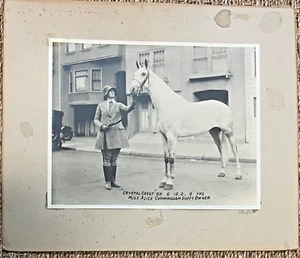 1920s Photo, Girl and Horse, St Francis Riding Club 701 7th Ave San Francisco - Picture 1 of 1