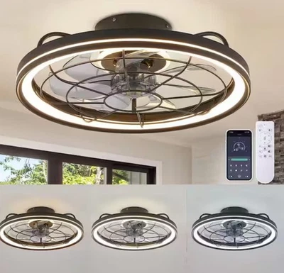 FANNEHONNE 19 in. Indoor Integrated LED Modern Farmhouse Ceiling Fan with - A5 - Image 1 of 4