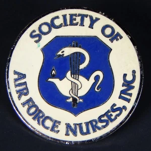 VINTAGE SOCIETY OF AIR FORCE NURSES PIN HAT LAPEL US AIR FORCE MILITARY - Picture 1 of 4