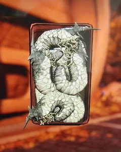 400*Improved Bait For Fallout 76 (Xbox Only) - Picture 1 of 1