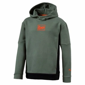Felpa con Cappuccio Unisex Puma Style Hoody B Laurel Wreath Oliva - Foto 1 di 5