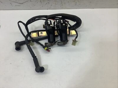 Bobinas Monster Ducati 750 Foto 1 de 4