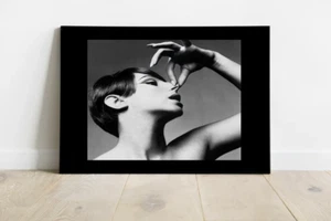 Barbra Streisand Photography Print-Above Toilet Funny Bathroom Picture-586 - Picture 1 of 4