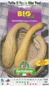 Calabacín Arruga Friulano Big Paquete - Semillas Horticultura - Imagen 1 de 1