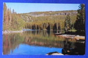 Paonia CO Colorado Grand Mesa National Forest Mesa Lake Chrome Postcard - Picture 1 of 2