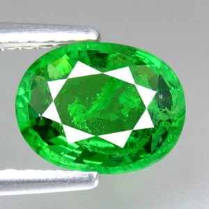 1.49_cts Mind Blowing Oval 100% Natural Vivid Green Tsavorite Garnet_Kenya - Picture 1 of 3