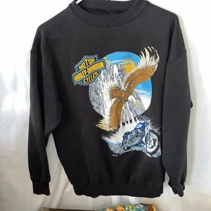 Vintage Harley Davidson Fun Wear Crewneck Eagle Death Valley Ride Size Large - Bild 1 von 4