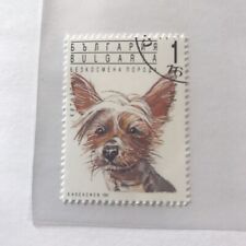 Mexican Hairless Dog Xolo Dog Stamp Dogs Collectible Dog19