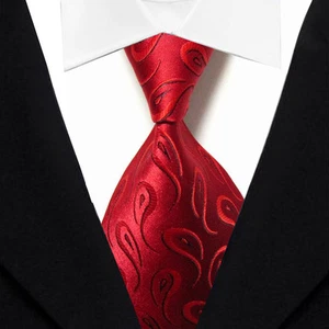 New JACQUARD WOVEN Silk Men's Tie Necktie (2148) - Picture 1 of 2