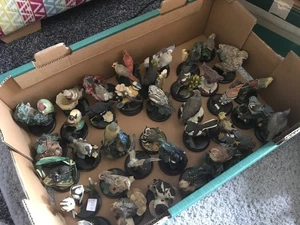 The Country Bird Collections - Picture 1 of 116