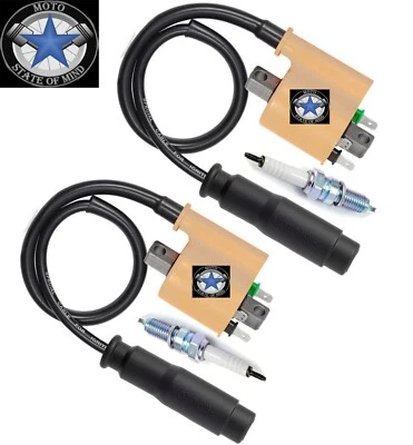 2x Bujía de bobina de encendido + tapa para Kawasaki Teryx4 750 KRT750A 2012-2013 4x4 Foto 1 de 3