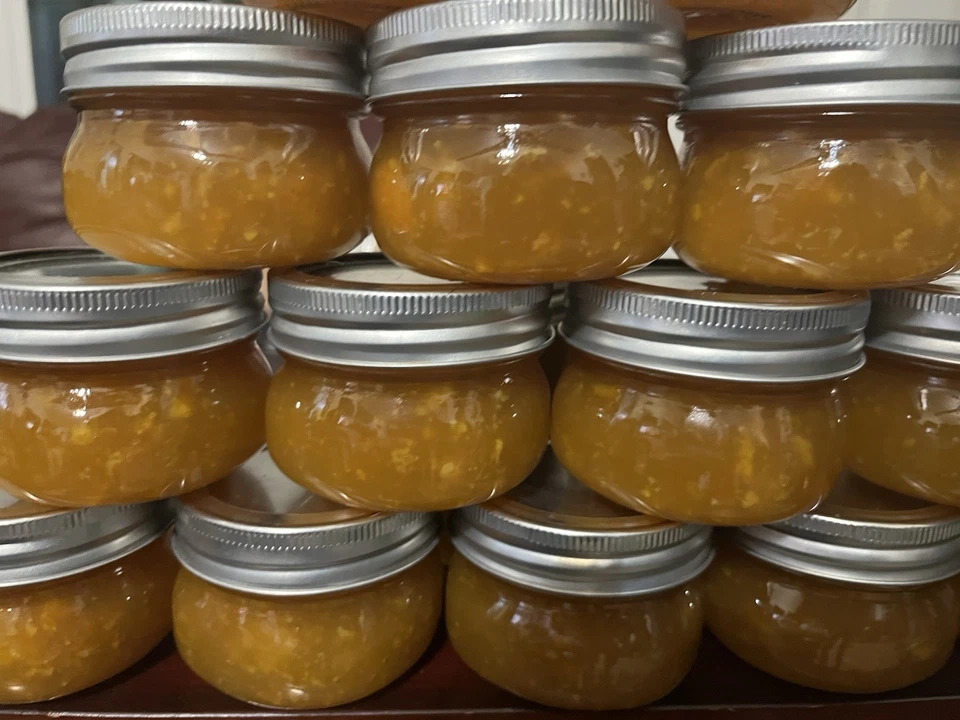 Mermelada Satsuma orgánica artesanal bondad casera en cada bote Foto 1 de 3