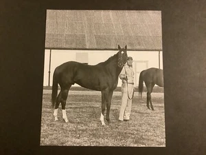 SECRETARÍA 7x9 Foto Carreras de Caballos 1973 Triple Corona - Imagen 1 de 2
