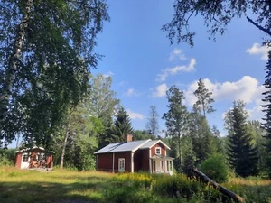 MIETEN Ferienhaus Schweden bis 4 Personen Wald Alleinlage Hund Sauna - Bild 1 von 24
