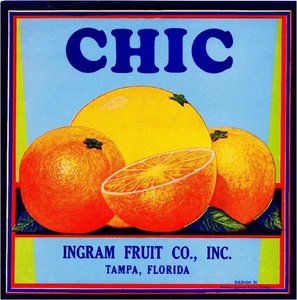 f44 Tampa Florida Chic Orange Citrus Fruit Crate Label Fridge Mag - Picture 1 of 1