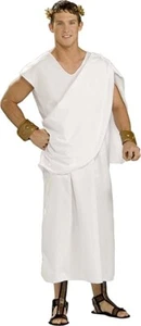 Forum Novelties Men's Gods and Goddesses Unisex Costume Toga - Picture 1 of 4