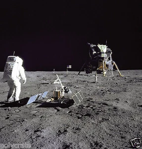Poster Photo Nasa - Apollo 11 La Lune - Buzz Aldrin module lunaire Eagle - 1969 - Imagen 1 de 1